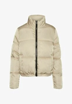 Noisy May NMANNI JACKET - Winterjacke - Irish Cream